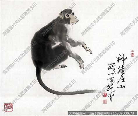 猴子 生肖 佛陀遊四城門